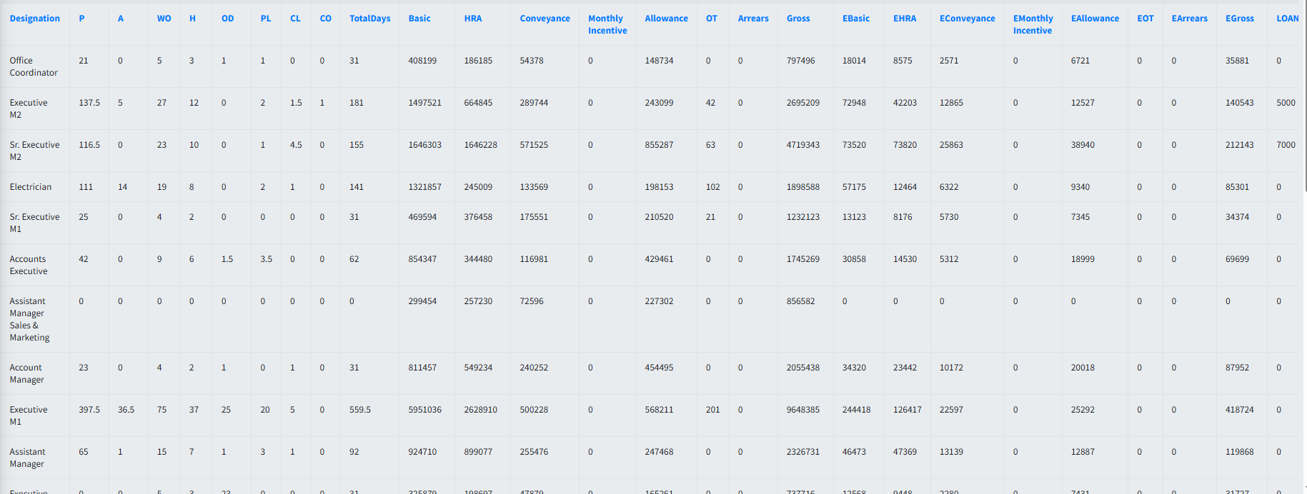 Designation Wise Summary Report