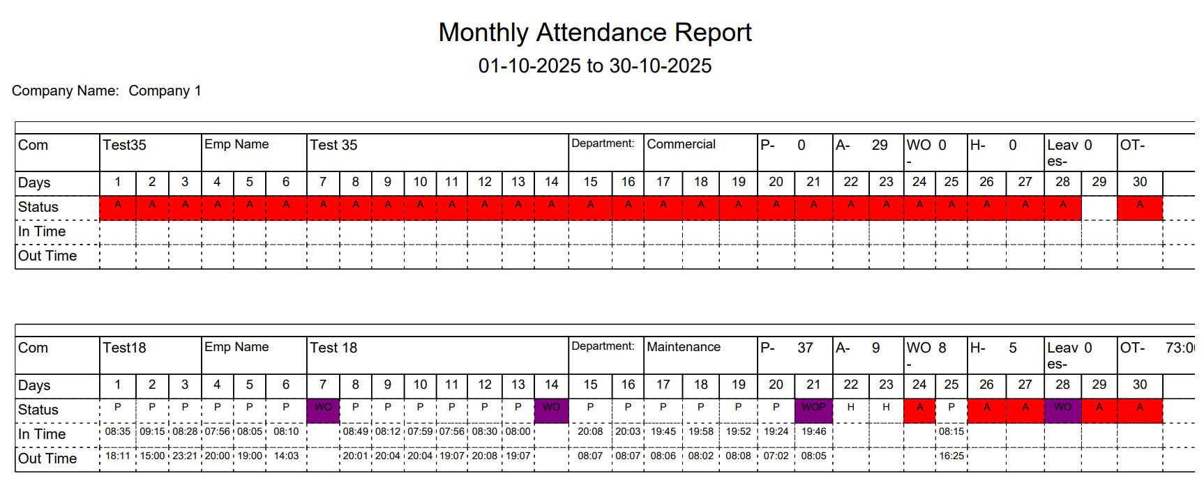 Monthly Attendance Report